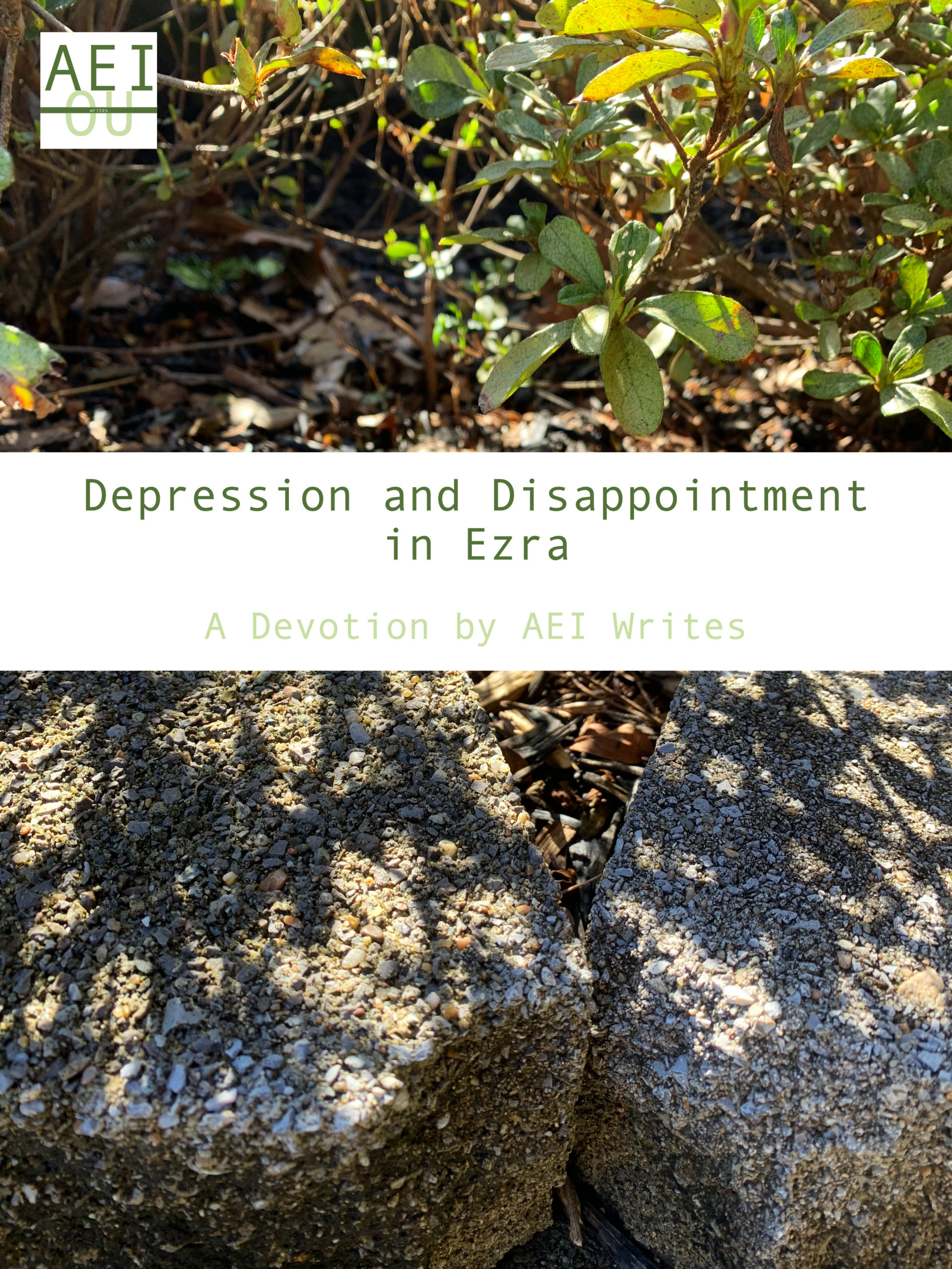 Depression and Disappointment in Ezra